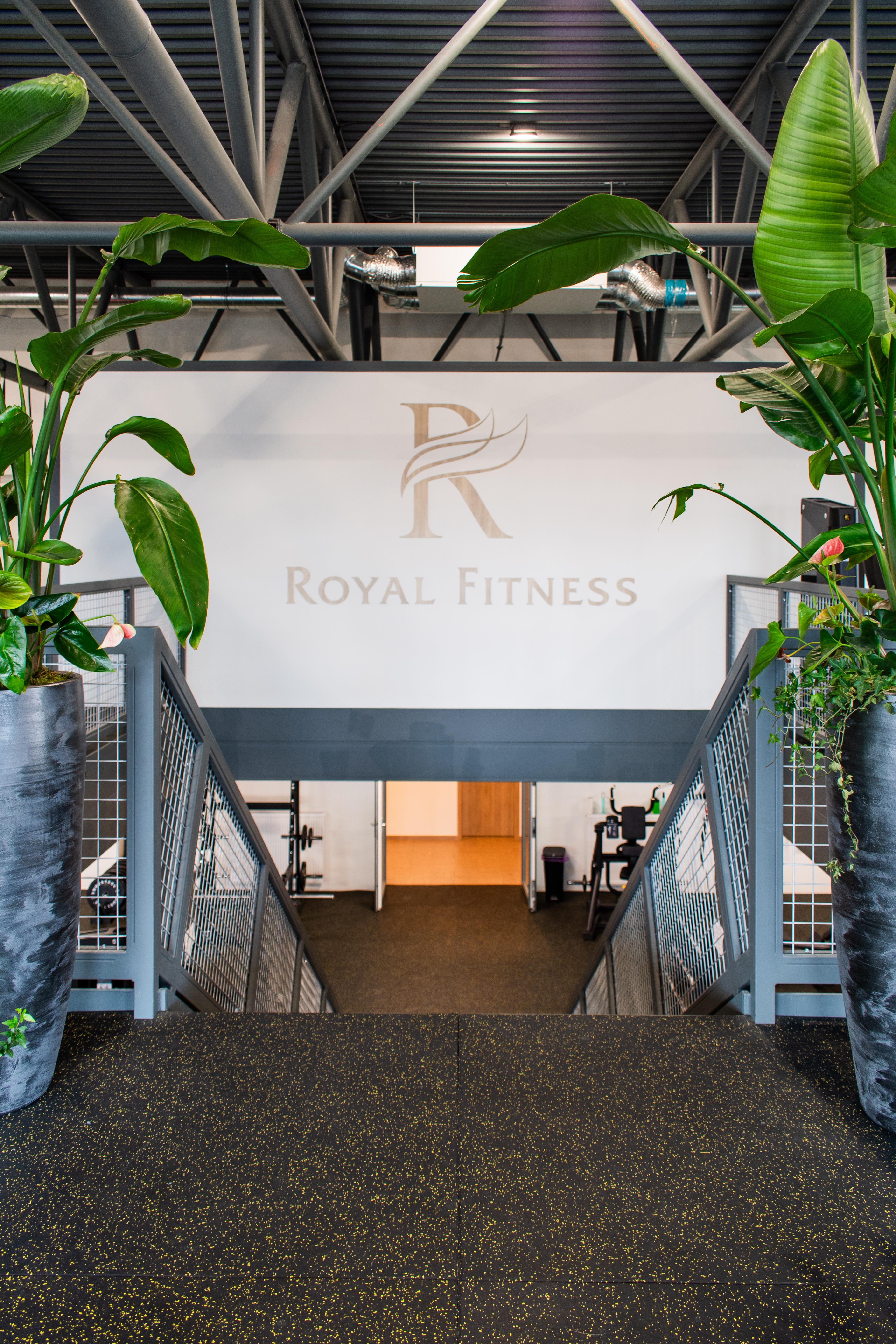 Royal Fitness Kladno posilovna