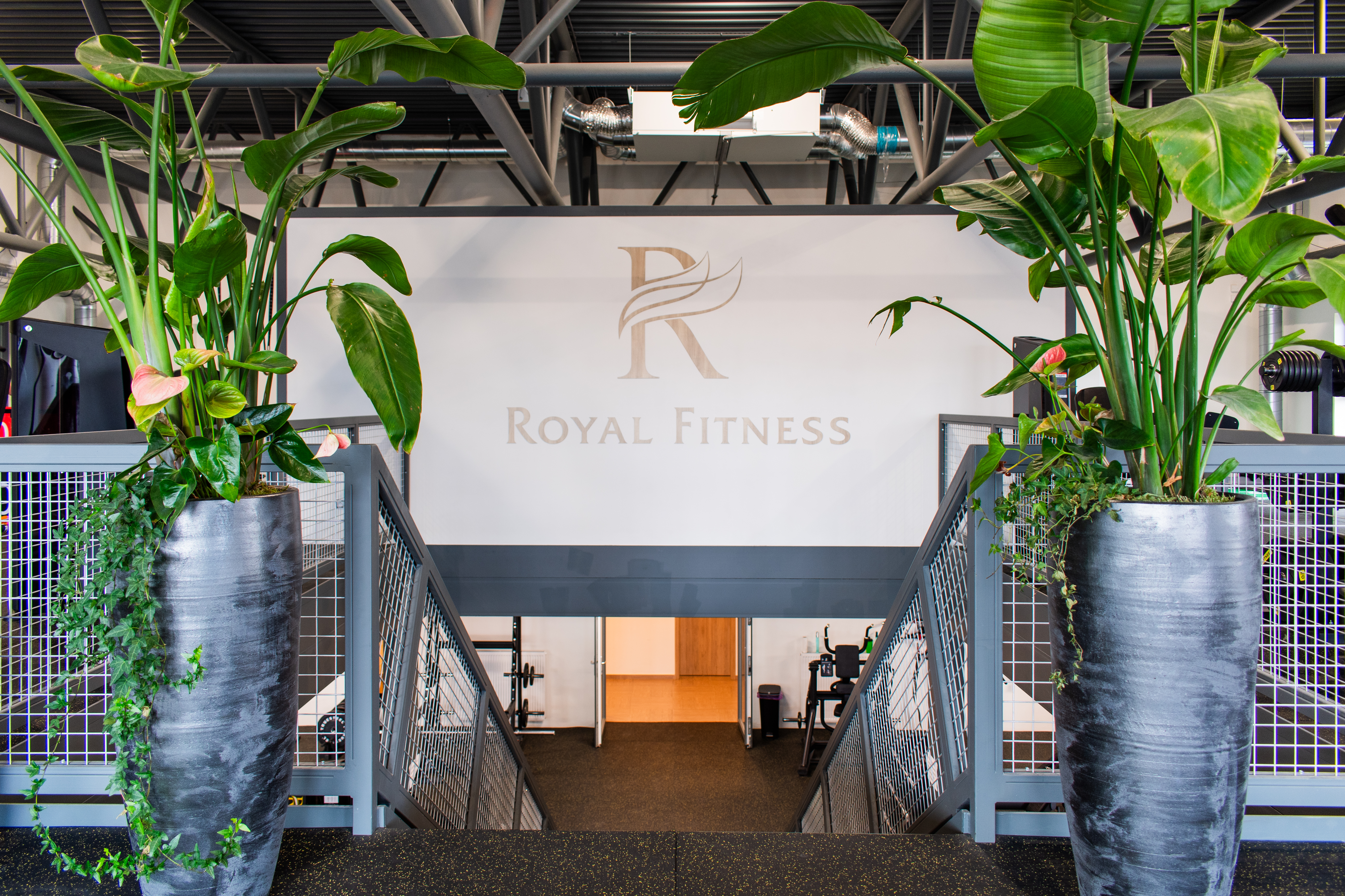 Royal Fitness Kladno posilovna